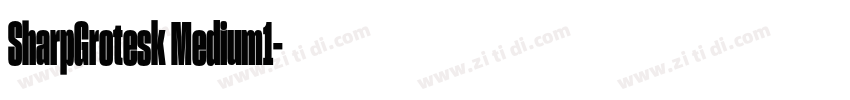 SharpGrotesk Medium1字体转换 SharpGrotesk Medium1字体转换